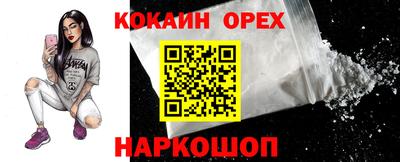 гидропоника Владимир