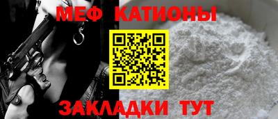 индика Бийск