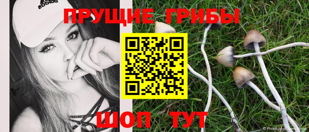 Псилоцибиновые грибы MAGIC MUSHROOMS  Вход с VPN  Выкса 