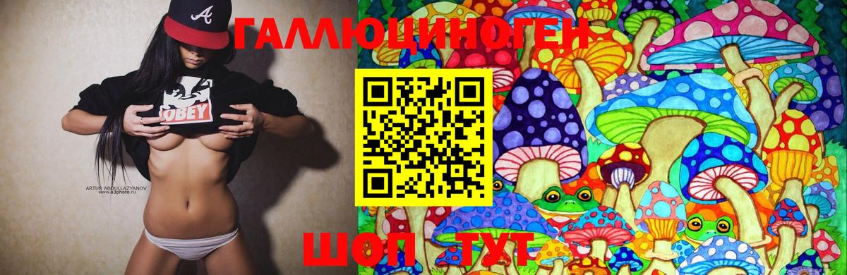 МЕФ   Вход с VPN  Конопля  Выкса  A-PVP СК кристаллы  Гашиш  КОКАИН  Сколько стоит  MDMA 