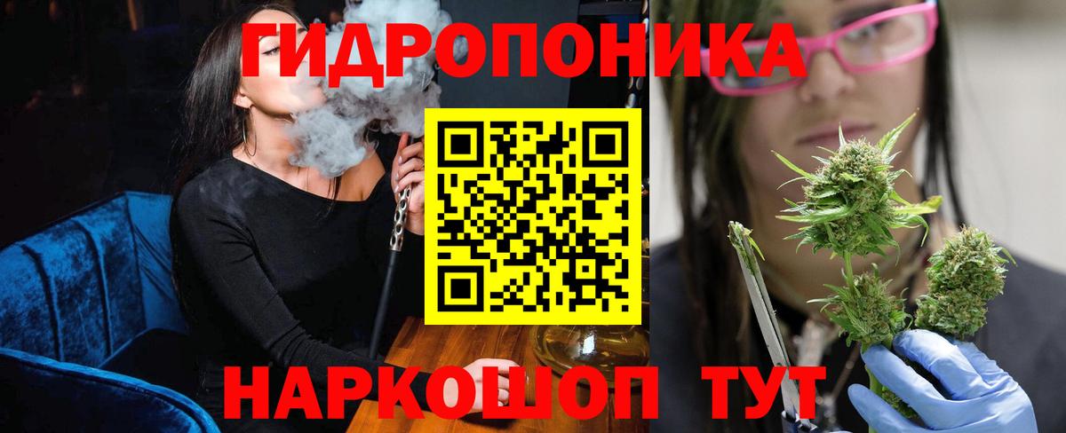 Выкса  Шишки марихуана планчик  Бошки Шишки White Widow  Вход с VPN  Конопля SATIVA & INDICA 